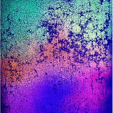 Mycelium
