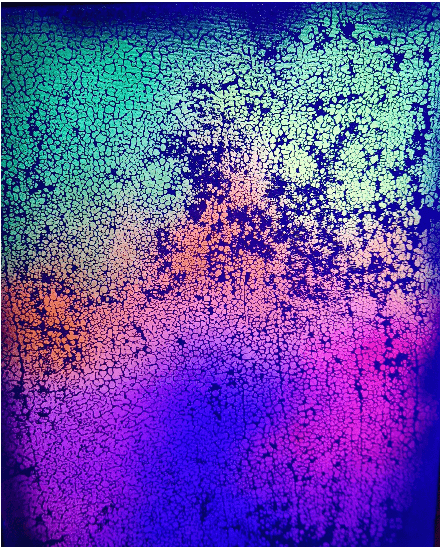 Mycelium